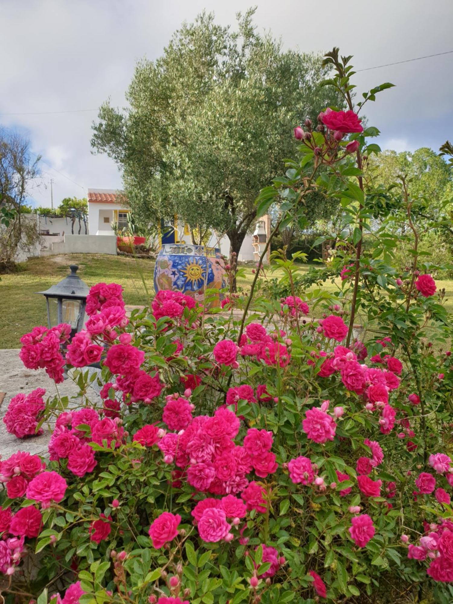 Sondela Self Catering Villa เซามาร์ทินโญโดปอร์โต ภายนอก รูปภาพ
